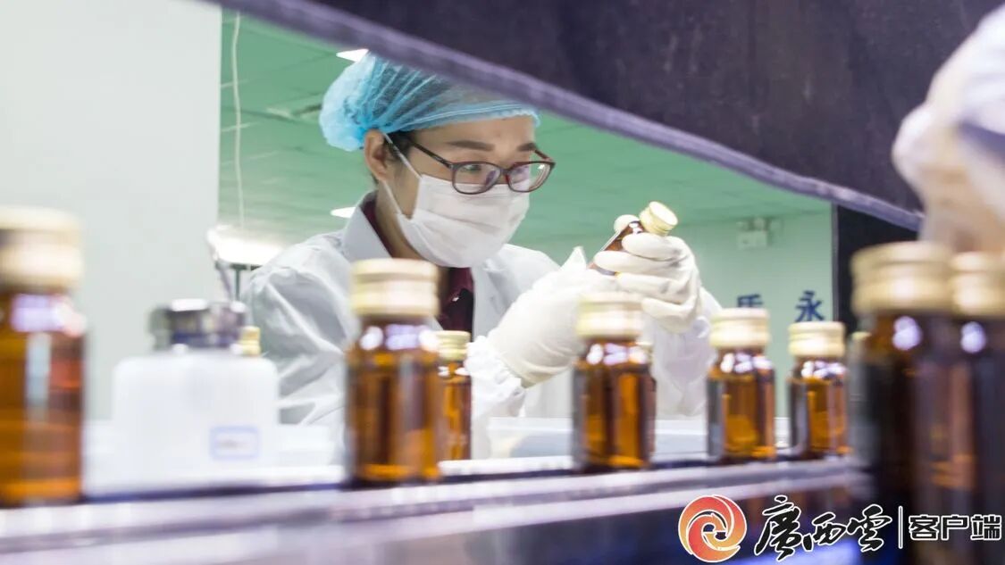 廣西日報(bào)聚焦天緣綠：從產(chǎn)品創(chuàng)新到行業(yè)標(biāo)準(zhǔn)，引領(lǐng)芭蕉健康產(chǎn)業(yè)升級(jí)
